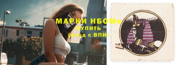 молекула духа Лабытнанги