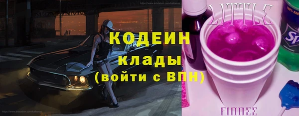 молекула духа Лабытнанги
