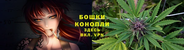 не бодяженный Ладушкин