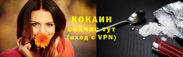 молекула духа Лабытнанги