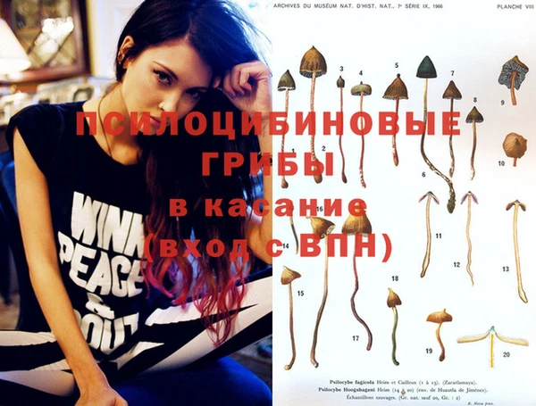 молекула духа Лабытнанги