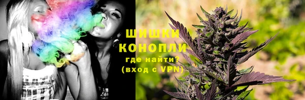 не бодяженный Ладушкин