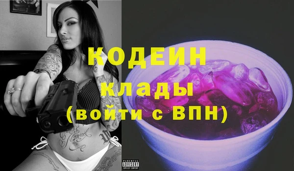 молекула духа Лабытнанги
